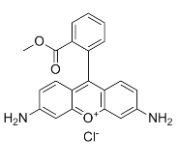 CAS62669-70-9 ローダミン123 生物染色試薬サプライヤー