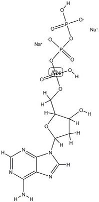 CAS9000-30-0 研究室用生物化学反応剤