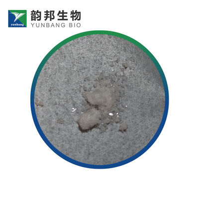 CAS 93-99-2 フェニルベンゾアート 研究室用生物化学反応剤