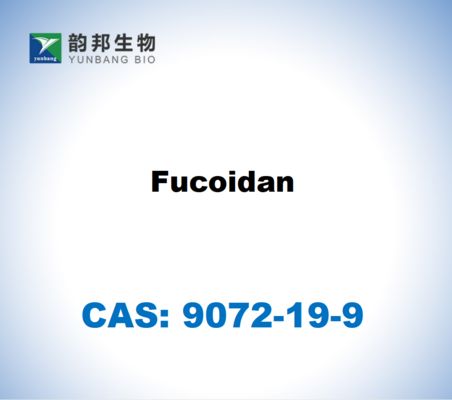 CAS 9072-19-9 フコイドン